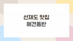 선재도 맛집 애견동반, 반려견과 함께 가는 2026년 최신 추천 리스트