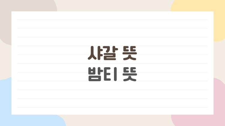 샤갈 뜻 밤티 뜻