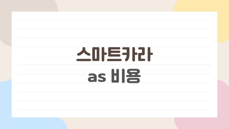 스마트카라 as 비용