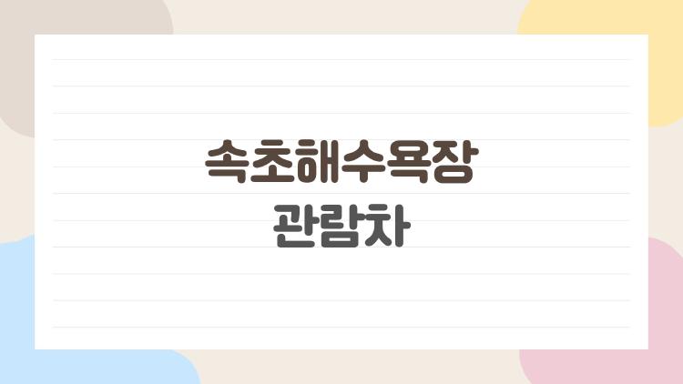속초해수욕장 관람차