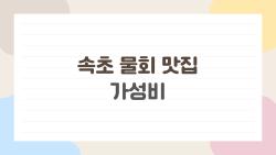 속초 물회 맛집 가성비, 진짜 현지인은 여기서 먹는다