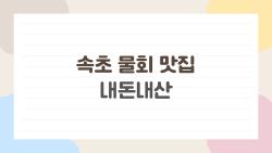 속초 물회 맛집 내돈내산, 현지인도 놀란 가성비 1위 집을 찾았다