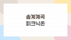 송계계곡 피크닉존, 주말 자리잡기 전쟁 각오하세요