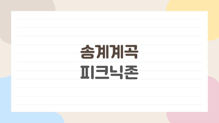 송계계곡 피크닉존, 주말 자리잡기 전쟁 각오하세요