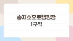 송지호오토캠핑장 1구역, 명당 28번 잡았다가 충격 받은 이유