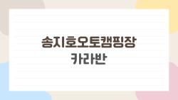 송지호오토캠핑장 카라반, 정말 이런 곳이 숨어 있었을까