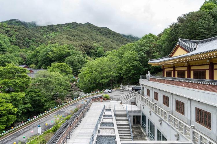 쌍계사 템플스테이, 계곡 물소리 들으며 진짜 힐링된 썰