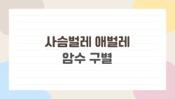 사슴벌레 애벌레 암수 구별, 2026년 최신 난소 확인 꿀팁 대공개