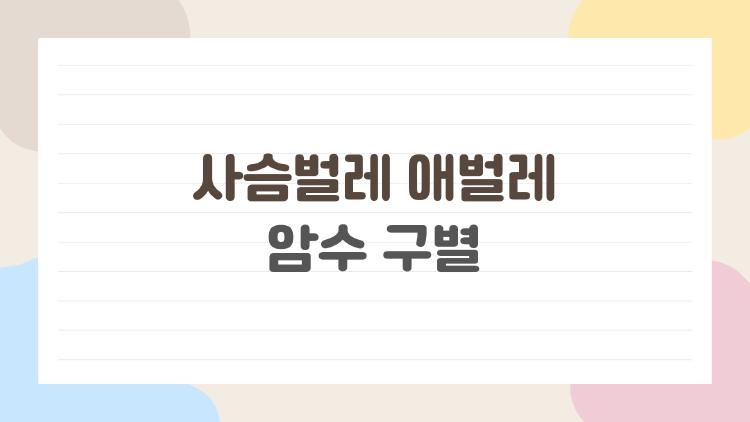 사슴벌레 애벌레 암수 구별