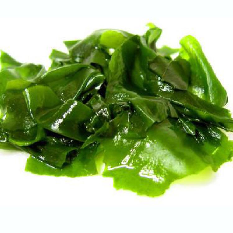 물미역 칼로리 충격! 겨울 제철 다이어트 꿀템 왜 지금 핫할까