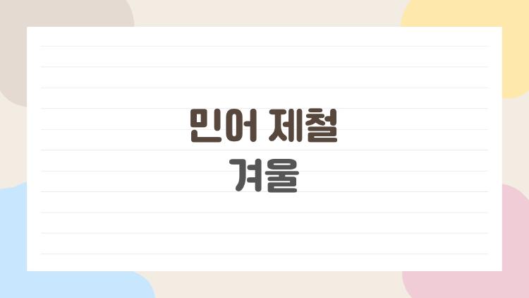 민어 제철 겨울