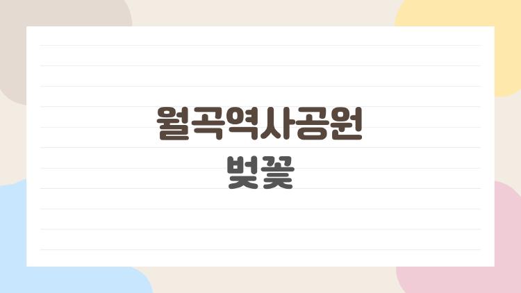 월곡역사공원 벚꽃