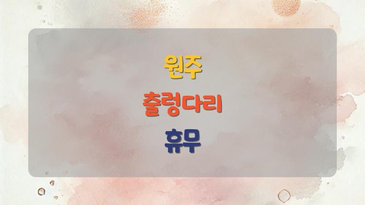 원주 출렁다리 휴무