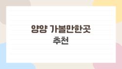 양양 가볼만한곳 추천, 서핑 타다 낙산사 힐링까지 완벽 1박2일!