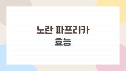 노란 파프리카 효능, 혈관·눈 피로 싹 해결될 줄 몰랐네
