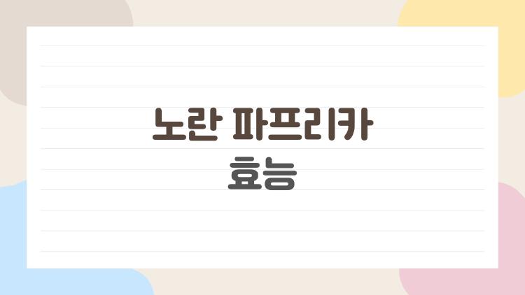 노란 파프리카 효능