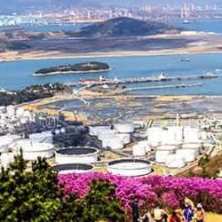 영취산 진달래축제 주차, 일찍 안 가면 후회할 팁들