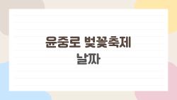 윤중로 벚꽃축제 날짜, 4월 8일로 잡았는데 진짜 만개할까?