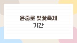 윤중로 벚꽃축제 기간, 평일 가면 인파 없이 사진 천국?