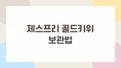 제스프리 골드키위 보관법, 사놓고 물러지면 끝장입니다